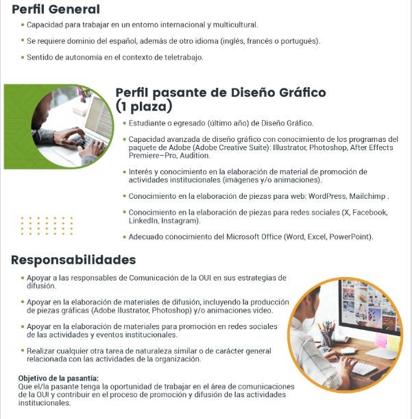 Perfil Diseño Gráfico