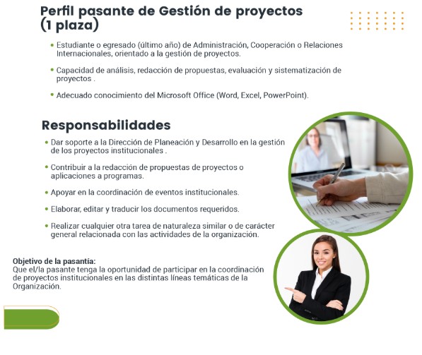 Perfil Gestión de Proyectos